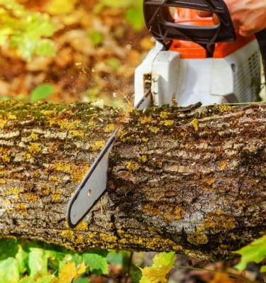 Wood cutting professionally done by best love team