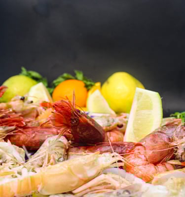 Crudo di mare a Torino