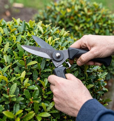 A gardener trimming bushes in a well-maintained residential garden.