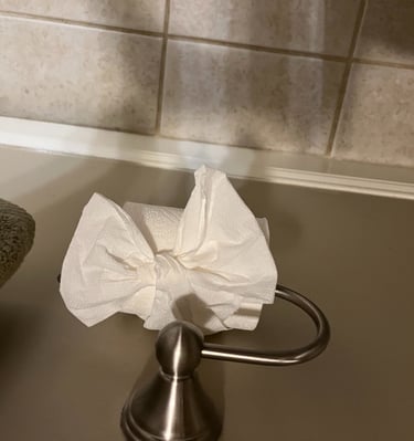 A roll of white toilet paper folded into a decorative bow on a brushed nickel holder.