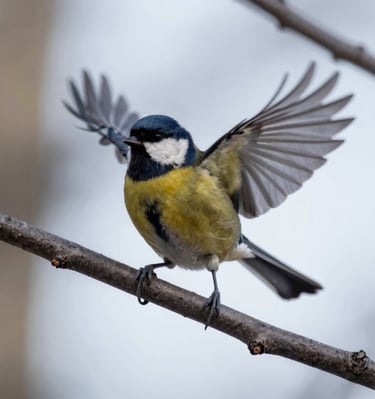 A peaceful space with cushions and candles arranged for a healing session.