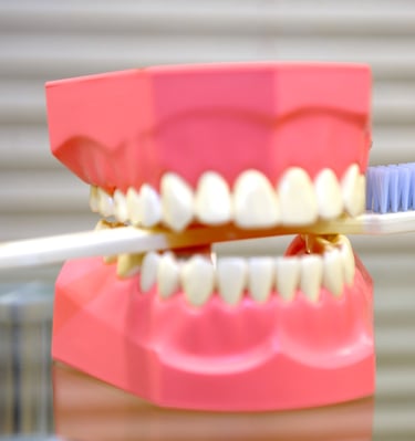 a toothbrush with a toothbrush and a toothbrush