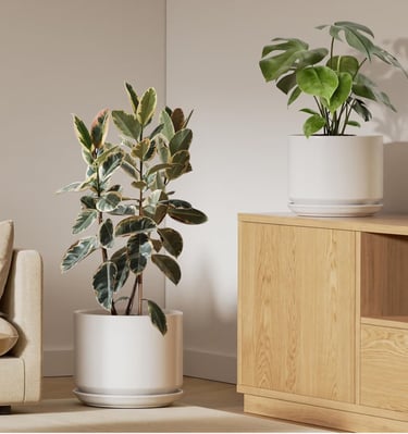 LE TAUCI white ceramic plant pots set of 2 in 10 and 12 inch sizes with drainage holes