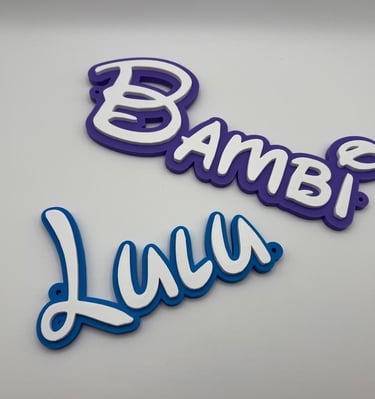 Custom 3D printed name plates for pets, featuring white cursive text with purple and blue borders.