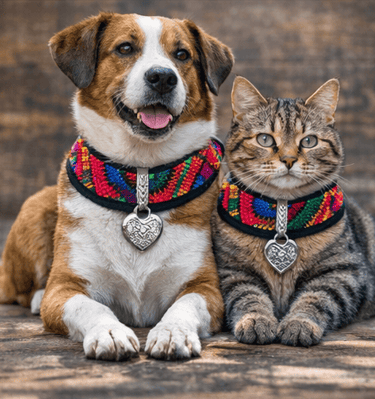 collares-mascotas-textil-mexicano-placas-plata-perro-gato