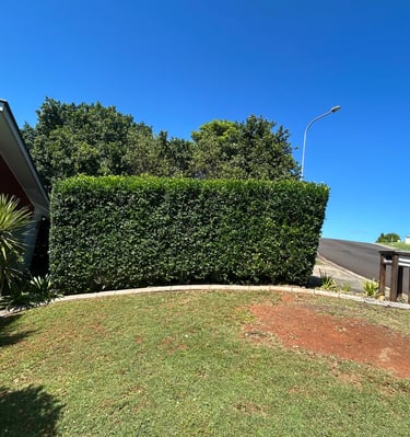 a house with a hedged lawn and a fenced in area