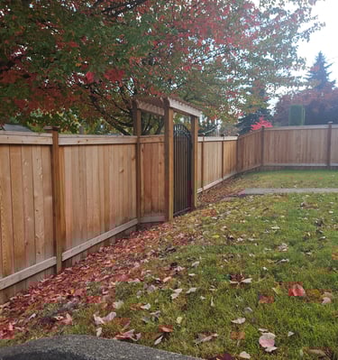 New fence with pergola gate
