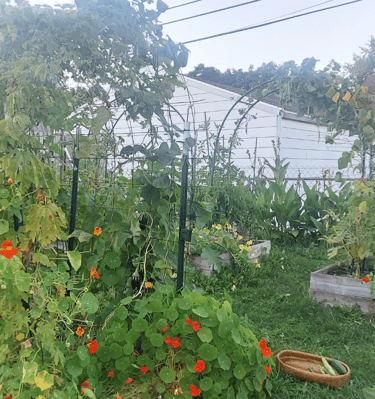 garden inspiration