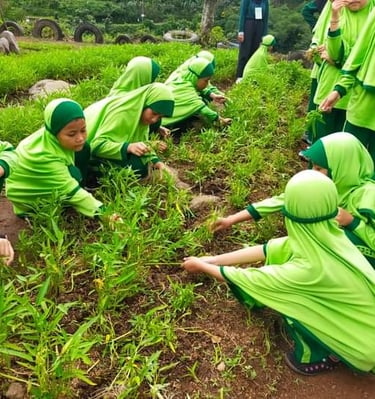 Siswa sedang belajar menanam sayuran kangkung