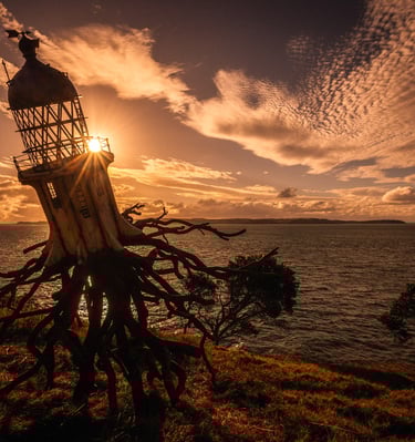 Hard Graft, Sculpture on the Gulf Peoples Choice Award Winner- Photography courtesy of Peter Rees