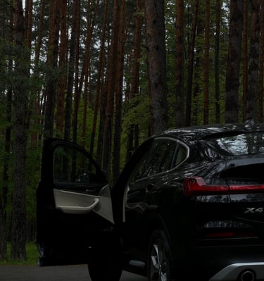 BMW X4 po vidaus giluminio valymo – prabangus automobilis pasiruošęs kelionei.