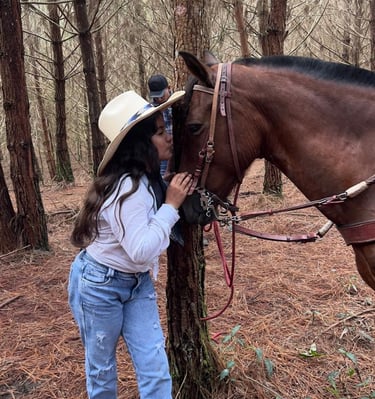 Horseback riding for children and adults