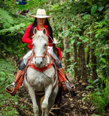 a woman in a red jacket and hat riding a horse