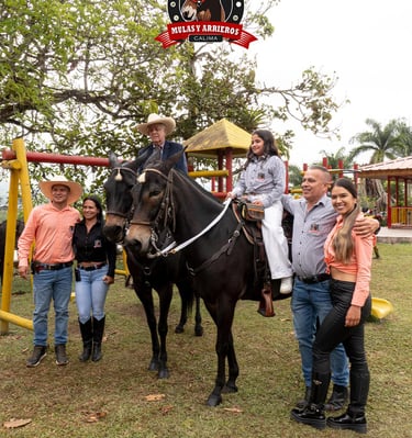 Ovidio Osorio, pioneer of mules in Colombia