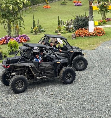 a couple of people in a buggy buggy