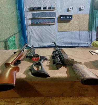 stalas su daug ginklų