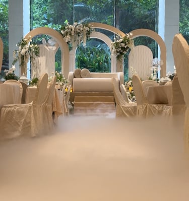 Dry Ice low fog machine rental 5