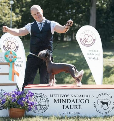 First Open Class Show. CAC.