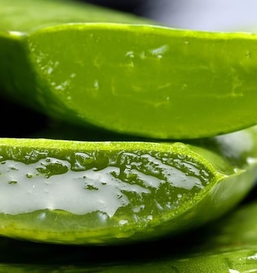 Forever Aloe vera