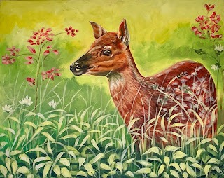 A picture of a deer