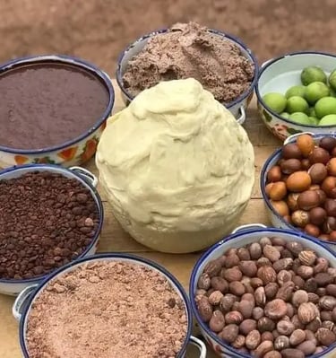 shea butter processing stages : a table with bowls of shea fruits, shea nuts and shea butter