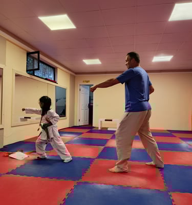 avrupa şampiyonundan karate teknikleri
