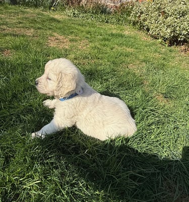 ok then one last picture after that I AM SLEEPING!