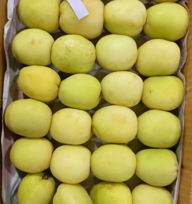 Apricot Pakistan 