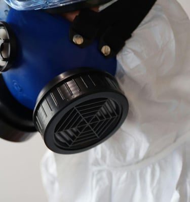 Ottawa Mold Removal - Mould Removal Ottawa