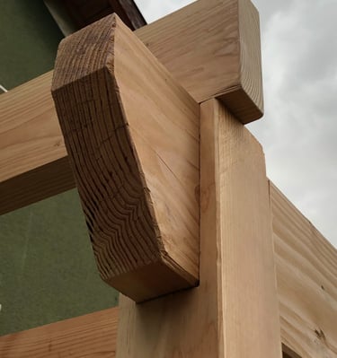 Pergola en bois de Douglas