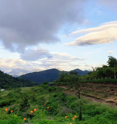 best resort near coimbatore