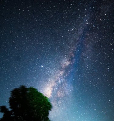 Best resort in anaikatti