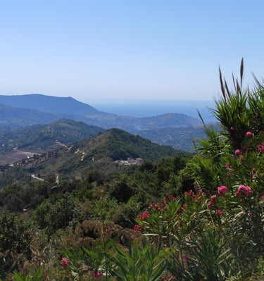 cilento