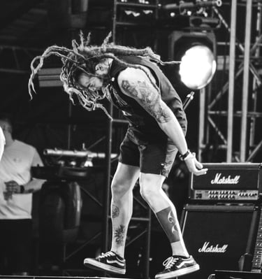 Genitallica, Tecate Pa'l Norte 2024