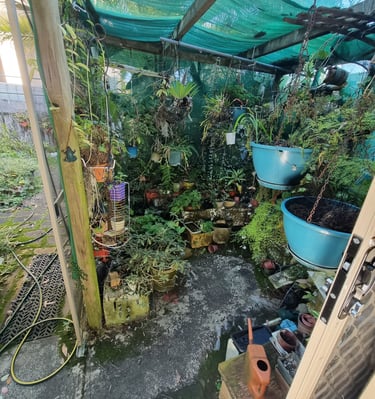 St Ives house rubbish clearing