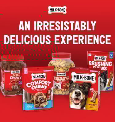 Milk-Bone Pill Pouches Dog Treats, Hickory Smoked Bacon Flavor, 6 Ounce (Pack of 5)