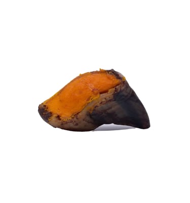 /dog-treats/hooves