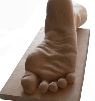 Foot in lime wood by Sarah Liptrot