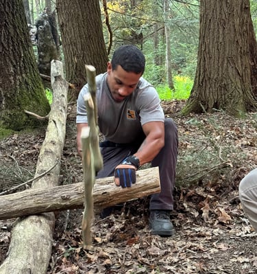 Testing the buck saw