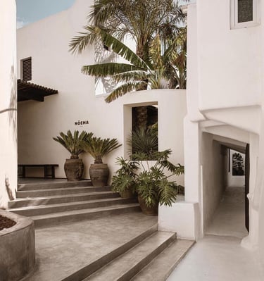 a building with a bunch of potted plants in it