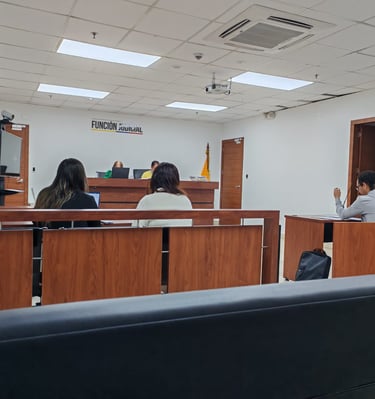 Audiencia de Alimentos