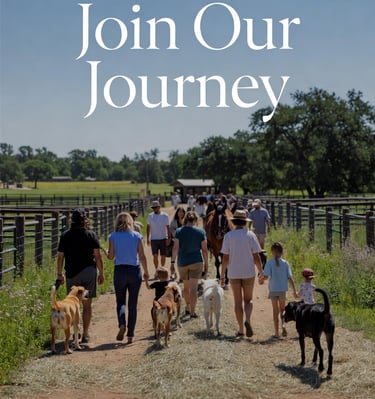 Lone Star Rescue Ranch is being built near Brenham, Texas
