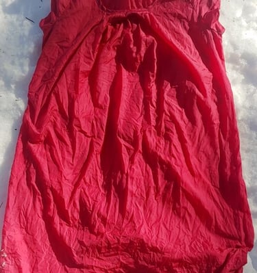 Cochineal dyed silk dress.