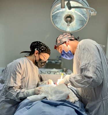 Two surgeons performing a medical procedure in a modern hospital operating room under surgical lights.
