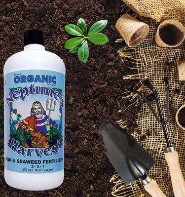 Fish & Seaweed Blend Fertilizer