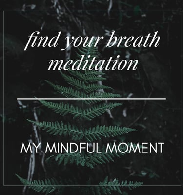 a fern fern leaf with the words find your breath in the background