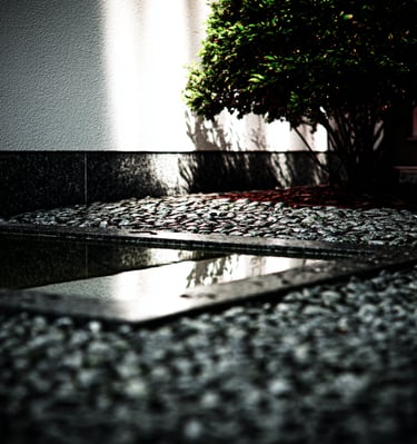 A modern zen garden featuring a small reflection pool, gravel, and a green shrub against a wall.