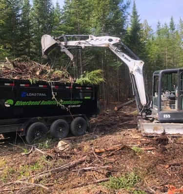 Bobcat E55 mini excavator loading tree debris into a Riverbend Rolloffs dump trailer for land clearing.