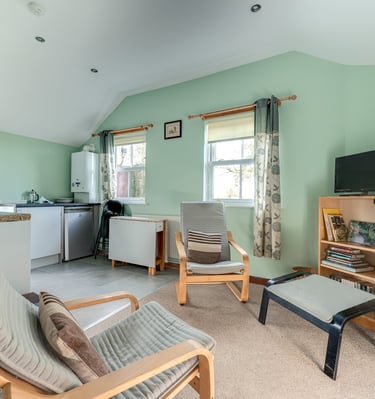 Cozy studio apartment interior with light green walls, wooden armchairs, and a small kitchenette.