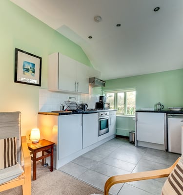 Modern small studio kitchen with light green walls, white cabinets, and cozy armchairs.